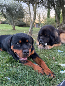 Photo de galerie - Arya & Otis
