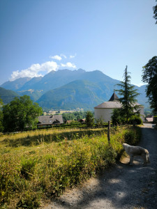 Photo de galerie - Balade chien