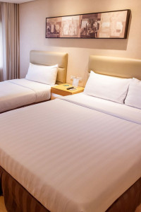 Photo de galerie - Femme de chambre 