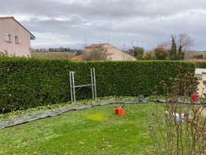 Photo de galerie - Taille de haies et d'arbustes