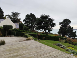 Photo de galerie - Taille de haies et d'arbustes