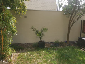 Photo de galerie - Peinture - Tapisserie