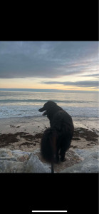 Photo de galerie - ?