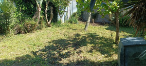 Photo de galerie - Paysagiste - Aménagement du jardin