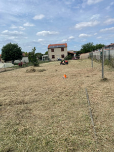 Photo de galerie - Tonte de pelouse - Débroussaillage
