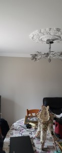 Photo de galerie - Rafraîchissement peinture murs et plafond
pose toile de verre