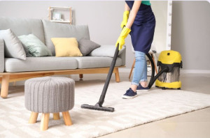 Photo de galerie - Apiculteur et repassage ménage complet 