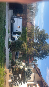 Photo de galerie - Taille de hais