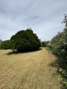 Photo de galerie - Fin des travaux, résultat magnifique