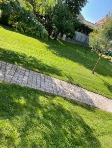 Photo de galerie - Tonte de pelouse - Débroussaillage