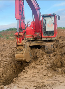 Photo de galerie - Bonjour je suis disponible pour faire votre Elagage ou coupe d’arbres