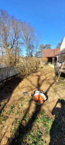 Photo de galerie - Elagage et coupe d'arbres