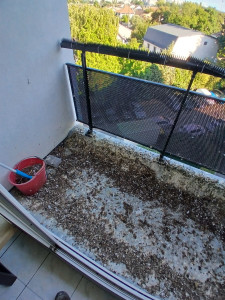 Photo de galerie - Bricolage et multi services