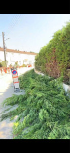 Photo de galerie - Taille-haie