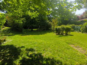 Photo de galerie - Tonte terrain