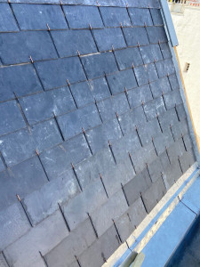 Photo de galerie - Couverture 