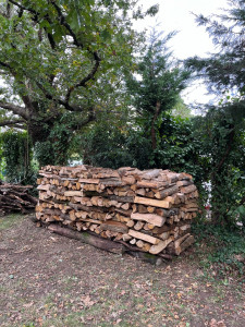 Photo de galerie - 4 stères de bois bien rangées en 2h