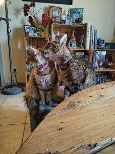 Photo de galerie - Complicité 