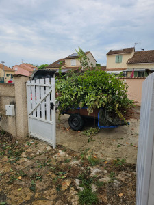 Photo de galerie - Évacuation de déchets 