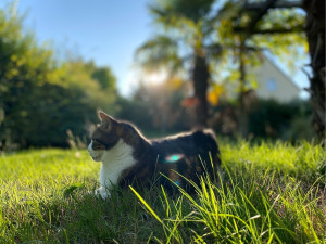 Photo de galerie - Portrait photo ! 