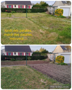 Photo de galerie - Jardinier