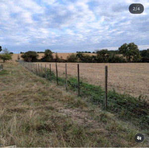 Photo de galerie - Clôture Grillage