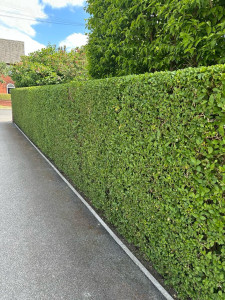 Photo de galerie - Bricolage et multi services