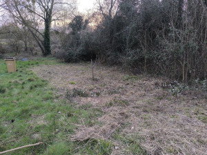 Photo de galerie - Débroussaillage d'un roncier