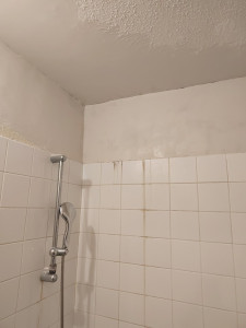Photo de galerie - Travaux enduisage mur et plafond de la salle de bain