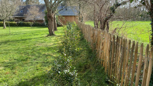 Photo de galerie - Clôture et Plantations de différentes variétés arbustes 