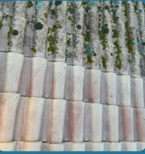 Photo de galerie - Décapage biodégradable 