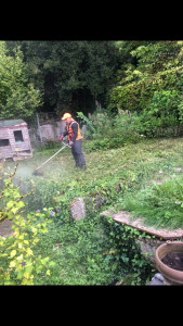 Photo de galerie - Tonte de pelouse - Débroussaillage