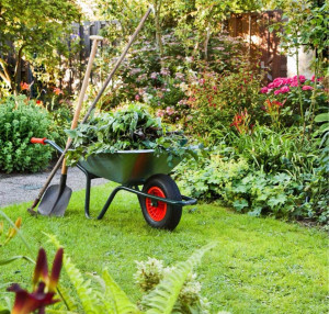 Photo de galerie - Jardinage en tout genre