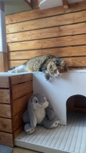 Photo de galerie - Garde animaux