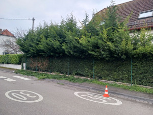 Photo de galerie - Coupe haie cronenburg 