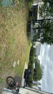 Photo de galerie - Rabattage d’une haie à 1m50 de hauteur et tonte de la pelouse pour une finition irréprochable 