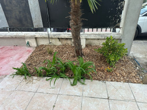 Photo de galerie - Paysagiste - Aménagement du jardin