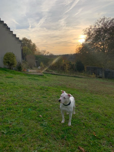 Photo de galerie - Garde de la grande joueuse Aloé 