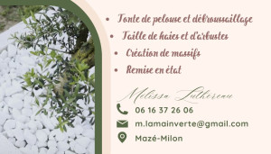 Photo de galerie - Paysagiste - Aménagement du jardin