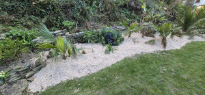 Photo de galerie - Parreterre après paillage myscanthus sur demande 