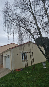 Photo de galerie - Toiture entièrement nettoyé et tuiles cassés remplacés 