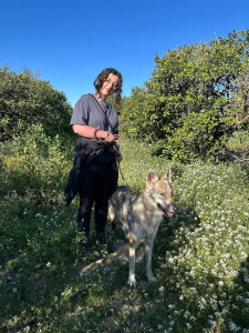 Photo de galerie - Promenade 