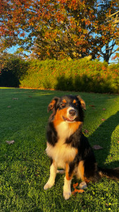 Photo de galerie - Awaï 6mois 