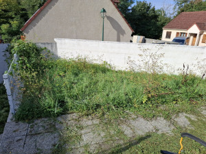 Photo de galerie - Taille de haies et d'arbustes