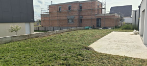 Photo de galerie - Après débroussaillage a disque 