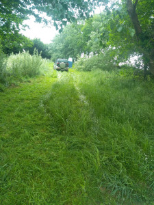 Photo de galerie - Jardinier