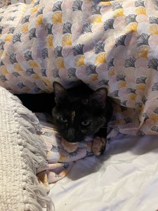 Photo de galerie - Garde de boxie 