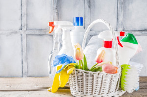 Photo de galerie - Je suis une personne très travailleuse,sérieuse et honnête 