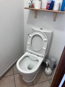 Photo de galerie - Changement d'un WC