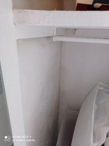 Photo de galerie - Nettoyage d'humidité sur les murs 